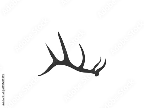 Deer antlers