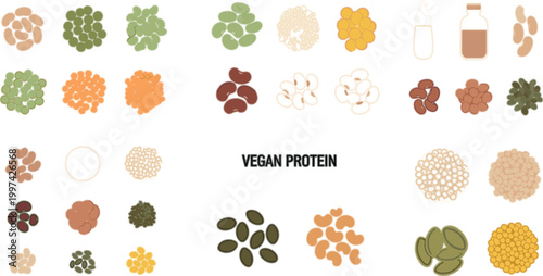 Vegan Protein Sources Vector Set with Seeds Nuts Legumes and Plant Based Superfood Ingredients for Healthy Nutrition Design