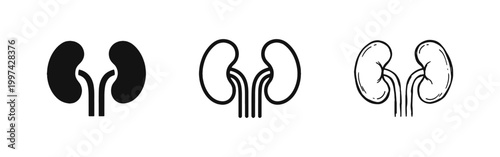 Human Kidney Anatomy Medical Health and Renal System Icon Set
