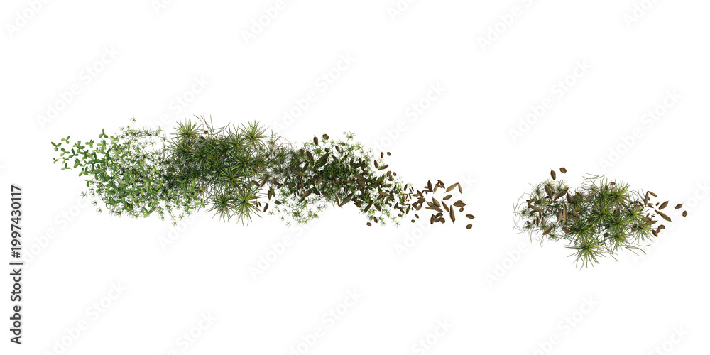 Fototapeta premium Top View of Vegetation Strip with Grass, Soil and Plants Isolated on Transparent Background. 3D rendering.