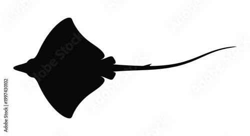 Bild auf Leinwand Silhouette of a stingray gliding gracefully through the water
