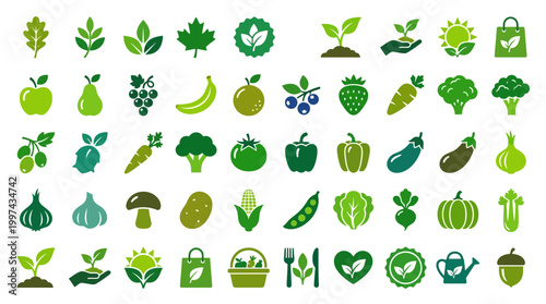 Variety of Fresh Fruit and Vegetables.