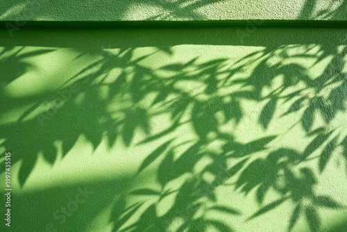 Sunlight Creates Leaf Shadows on a Green Wall in a Garden During the Afternoon