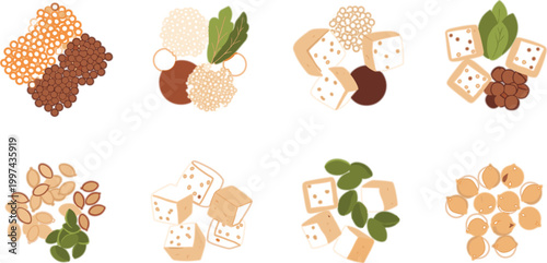 Plant Based Protein Ingredients Vector Set with Tofu Beans Lentils Seeds and Nuts for Vegan Nutrition and Healthy Food Design