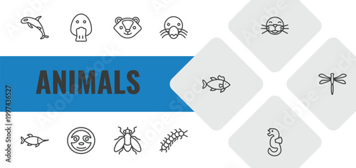 animals outline icon set. linear vector for ui, web and mobile. thin line grampus, platypus, skunk icons.