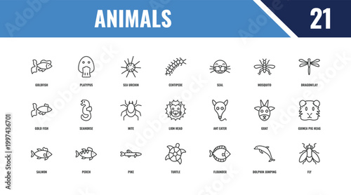 animals outline icon set. linear vector for ui, web and mobile. thin line platypus, dragonflay, ant eater icons.