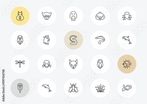 animals outline icon set. linear vector for ui, web and mobile. thin line capybara, deadlock, dragonflay icons.