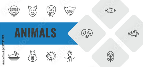 animals outline icon set. linear vector for ui, web and mobile. thin line chimpanzee, pig, walrus icons.