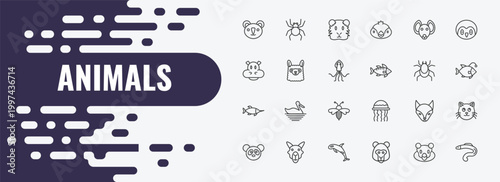 animals outline icon set. linear vector for ui, web and mobile. thin line spider, guinea pig heag, hyena icons.