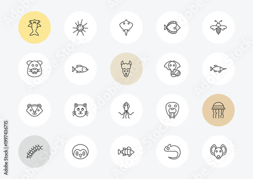 animals outline icon set. linear vector for ui, web and mobile. thin line hummerhead, beaver, skunk icons.