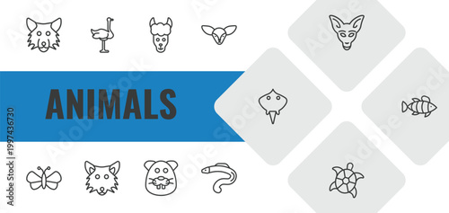animals outline icon set. linear vector for ui, web and mobile. thin line wolf, ostrich, lama icons.