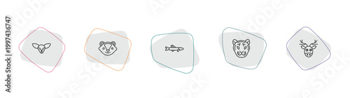animals outline icon set. linear vector for ui, web and mobile. thin line fennec fox, skunk, pike icons.