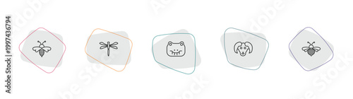 animals outline icon set. linear vector for ui, web and mobile. thin line wasp, dragonflay, crocodile icons.