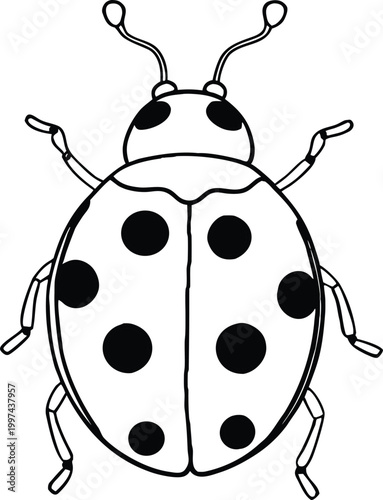 Black and white line art drawing of a cute ladybug insect with spots