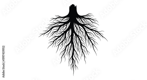 tree roots silhouette on white background high quality