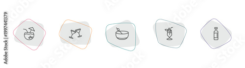 drinks outline icon set. linear vector for ui, web and mobile. thin line coconut drink, toast, greyhound drink icons.