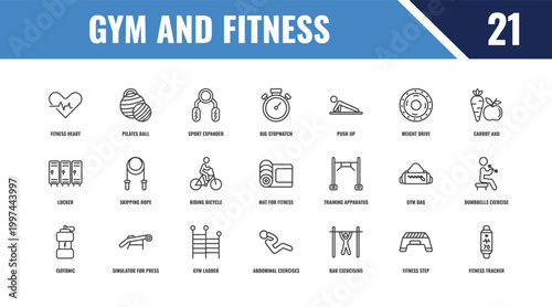 gym and fitness outline icon set. linear vector for ui, web and mobile. thin line pilates ball, carrot and, training apparatus icons.