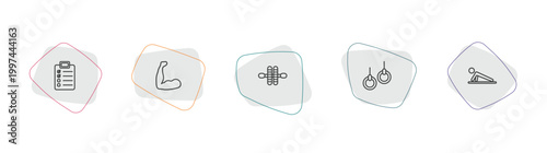 gym and fitness outline icon set. linear vector for ui, web and mobile. thin line to do list, muscles, gymnastic roller icons.