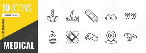 medical outline icon set. 10 linear vector for ui, web and mobile. thin line pelvic area, epidermis, sticking plaster icons.