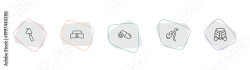 medical outline icon set. linear vector for ui, web and mobile. thin line medical hammer tool, nurse cross, antibiotic icons.