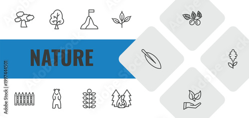 nature outline icon set. linear vector for ui, web and mobile. thin line shadbush tree, sugar maple tree, determination icons.