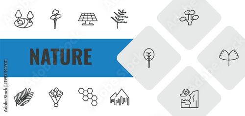 nature outline icon set. linear vector for ui, web and mobile. thin line sunny park, quaking aspen tree, solar icons.