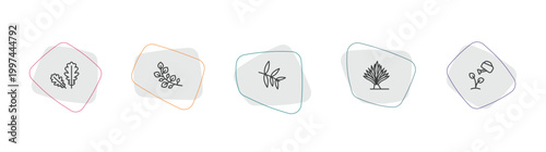 nature outline icon set. linear vector for ui, web and mobile. thin line pedunculate, branch with leaves, willow leaf icons.