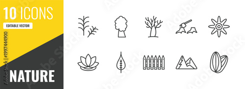 nature outline icon set. 10 linear vector for ui, web and mobile. thin line rosemary, american chestnut tree, leafless tree icons.