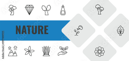 nature outline icon set. linear vector for ui, web and mobile. thin line american beech tree, gemstone, eastern cottonwood tree icons.