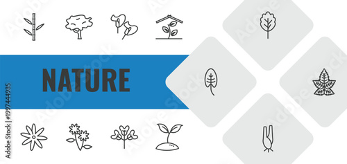 nature outline icon set. linear vector for ui, web and mobile. thin line bamboo sticks, red maple tree, calla icons.