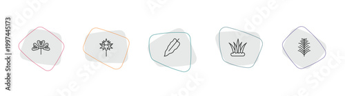 nature outline icon set. linear vector for ui, web and mobile. thin line trifoliate ternate, carnation, philodendron icons.