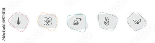 nature outline icon set. linear vector for ui, web and mobile. thin line larch, wallflower, carnivorous plant icons.