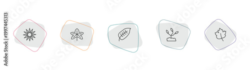nature outline icon set. linear vector for ui, web and mobile. thin line sol, grape leaf, ovate icons.