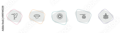 nature outline icon set. linear vector for ui, web and mobile. thin line damaged, amanita, shining sun with rays icons.