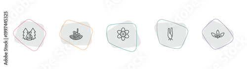 nature outline icon set. linear vector for ui, web and mobile. thin line forest fire, vineyard, freesia icons.