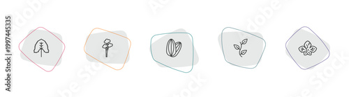 nature outline icon set. linear vector for ui, web and mobile. thin line linden leaf, quaking aspen tree, almond icons.