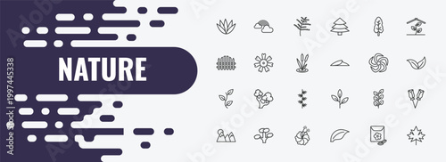 nature outline icon set. linear vector for ui, web and mobile. thin line rainbow behind a cloud, cypress leaf, black ash tree icons.