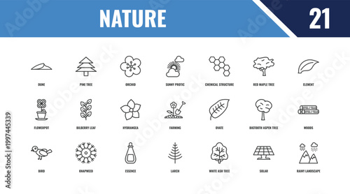 nature outline icon set. linear vector for ui, web and mobile. thin line pine tree, element, ovate icons.