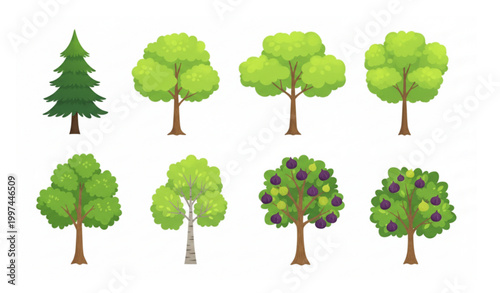 Cute Cartoon Green Tree Illustrations Set with Plump Ripe Figs on White Background