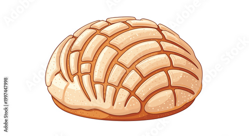Freshly baked Mexican concha sweet bread with its signature seashell-shaped sugar crust texture is depicted in a warm and appetizing illustration.