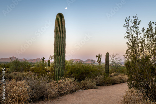 McDowell Sonoran Preserve, Arizona