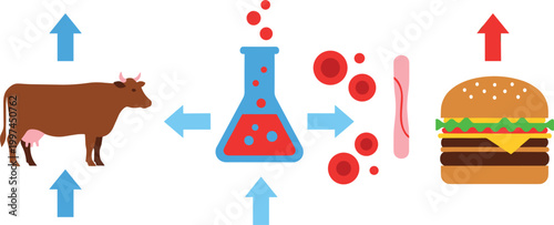 Illustration of Cow to Burger Production Process with Scientific Elements and Arrows for Food Industry Graphic