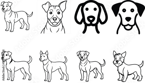 vector, isolated black silhouette of a dog, collection