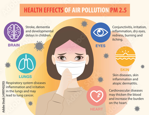 Infographic health effects of air pollution PM 2.5 vector illustration. Woman with medical mask, dust increasing the risk of chronic diseases brain, heart, lungs and causing skin and eye irritation.