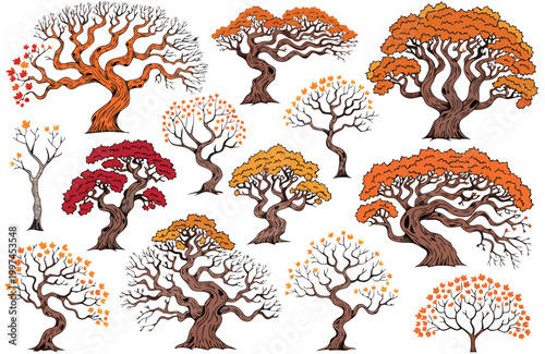 Collection of detailed vector tree illustrations featuring autumn foliage with various twisting branches and stylized trunks for professional graphic design