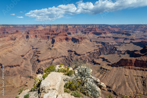 Принти на полотні Grand Canyon National Park