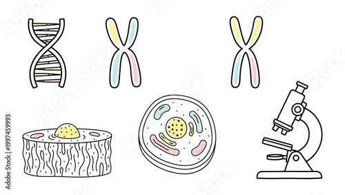 Microscopic Wonders: Exploring the intricate structures of life, a detailed illustration reveals the fundamental elements of biology.