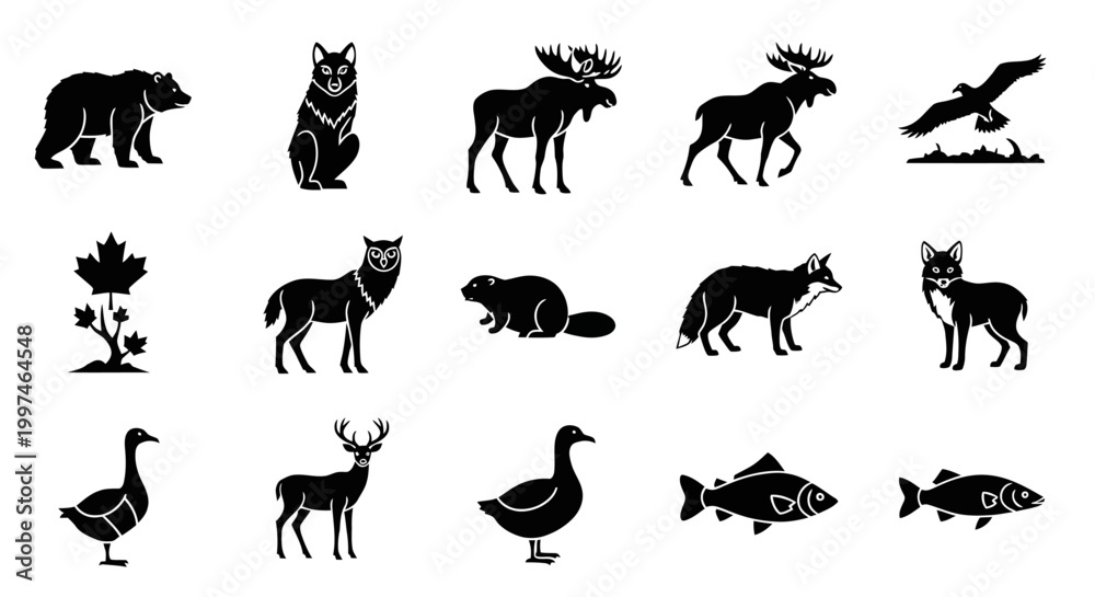 Obraz premium Wildlife animal icon set forest animals collection
