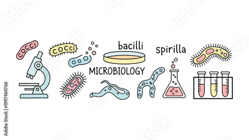 Microbiology Lab Illustration: An illustrated overview of a microbiology lab, featuring a variety of scientific tools and specimens, capturing the essence of scientific exploration and discovery.