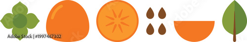 Persimmon Fruit Elements Set with Whole Fruit, Slice, Seeds and Leaves in Minimal Flat Vector Icon Design Style
